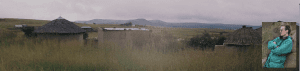 contact header 2